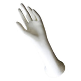 Maxbell Female Mannequin Hand Decoration for Room Decor Tabletop Photograph Props