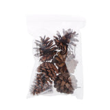 Natural Pine Cone Dried Table Ornament Creative Decor Pack of 5 Pcs