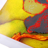 Maxbell Animal Embriodery Rhinestone Painting Cross Stitch Kit DIY Craft Kids Xmas Home Decor Gift - Monkey