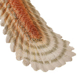 Maxbell Lifelike Archaeopteryx Model Figure Kid Toy Story Telling & Teaching Props