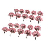 Maxbell Pack of 20pcs Painted Model Trees Building Train Railway Layout Scenery DIY 1:75 SA80-Pink
