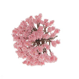 Maxbell Pack of 20pcs Painted Model Trees Building Train Railway Layout Scenery DIY 1:75 SA80-Pink