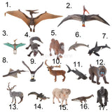 Maxbell Kids Story Telling Animal Figure Showcase Display Model Educational Toy - Pterodactylus