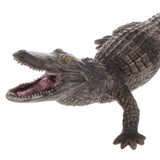 Maxbell Kids Story Telling Animal Figure Showcase Display Model Educational Toy - Large Crocodile
