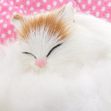 Maxbell Cloth Pad Cat Doll Animal Doll Toy Home Ornament Desk Decor Gift
