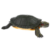 Maxbell Simulation Animal Model Figure Toys Figurine Decor Trachemys scripta elegans