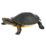 Maxbell Simulation Animal Model Figure Toys Figurine Decor Trachemys scripta elegans