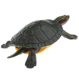 Maxbell Simulation Animal Model Figure Toys Figurine Decor Trachemys scripta elegans