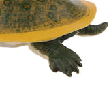 Maxbell Simulation Animal Model Figure Toys Figurine Home Decor Soft-shelled turtle