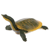 Maxbell Simulation Animal Model Figure Toys Figurine Home Decor Soft-shelled turtle