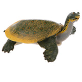 Maxbell Simulation Animal Model Figure Toys Figurine Home Decor Soft-shelled turtle