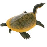 Maxbell Simulation Animal Model Figure Toys Figurine Home Decor Soft-shelled turtle