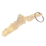 Maxbell Human Skeleton Foot and Ankle Joint Model Key Chain Key Ring Creative Gift
