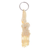 Maxbell Human Skeleton Foot and Ankle Joint Model Key Chain Key Ring Creative Gift