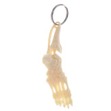 Maxbell Human Skeleton Foot and Ankle Joint Model Key Chain Key Ring Creative Gift