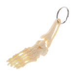 Maxbell Human Skeleton Foot and Ankle Joint Model Key Chain Key Ring Creative Gift