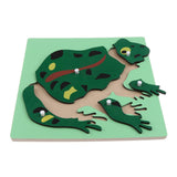 Maxbell Montessori Wooden Animals Jigsaw Puzzle Panel Kids Baby Toys Frog