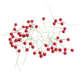 Maxbell 50 Pieces Simulation Small Berries Fruits Party Props DIY Craft Red