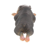 Maxbell Simulation Animal Model Figure Toy Home Decor Sleepy American Bully Pitbull