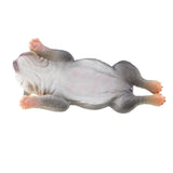 Maxbell Simulation Animal Model Figure Toy Home Decor Sleepy American Bully Pitbull