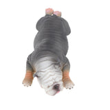 Maxbell Simulation Animal Model Figure Toy Home Decor Sleepy American Bully Pitbull