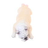 Maxbell Simulation Animal Model Figure Toy Home Decor Sleep American Bully Pitbull B