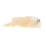 Maxbell Simulation Animal Model Figure Toy Home Decor Sleep American Bully Pitbull B