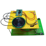DIY Electric Recorder Model Toy Electrical Circuit Puzzle Exporing Experiments Physics Educational School Kids Student Teaching Aids - Aladdin Shoppers