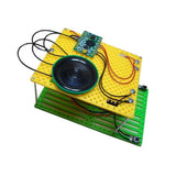 DIY Electric Recorder Model Toy Electrical Circuit Puzzle Exporing Experiments Physics Educational School Kids Student Teaching Aids - Aladdin Shoppers