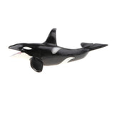 Maxbell Simulation Wild Animal Model Figure Toys Figurine Home Decor Killer Whale