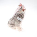 Maxbell Realistic Wolf Statue Emulation Animal Model Kids Educational Toy Gift