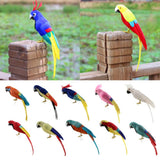 Maxbell Simulation Artificial Feathered Parrot Bird Animal Model Toy Home Decor B