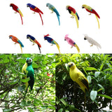Maxbell Simulation Artificial Feathered Parrot Bird Animal Model Toy Home Decor B