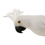 Maxbell Simulation Artificial Feathered Parrot Bird Animal Model Toy Home Decor B
