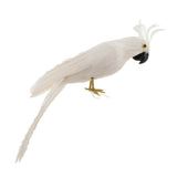 Maxbell Simulation Artificial Feathered Parrot Bird Animal Model Toy Home Decor B