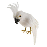 Maxbell Simulation Artificial Feathered Parrot Bird Animal Model Toy Home Decor B