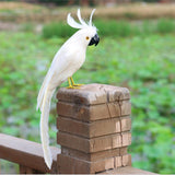 Maxbell Simulation Artificial Feathered Parrot Bird Animal Model Toy Home Decor B