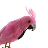 Maxbell Simulation Artificial Feathered Parrot Bird Animal Model Toy Home Decor J