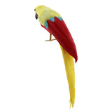 Maxbell Simulation Artificial Feathered Parrot Bird Animal Model Toy Home Decor K