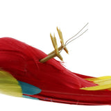 Maxbell Simulation Artificial Feathered Parrot Bird Animal Model Toy Home Decor K