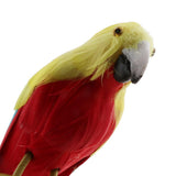 Maxbell Simulation Artificial Feathered Parrot Bird Animal Model Toy Home Decor K