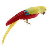 Maxbell Simulation Artificial Feathered Parrot Bird Animal Model Toy Home Decor K