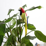 Maxbell Simulation Artificial Feathered Parrot Bird Animal Model Toy Home Decor L