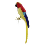 Maxbell Simulation Artificial Feathered Parrot Bird Animal Model Toy Home Decor L