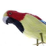 Maxbell Simulation Artificial Feathered Parrot Bird Animal Model Toy Home Decor L