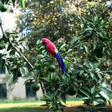 Maxbell Simulation Artificial Feathered Parrot Bird Animal Model Toy Home Decor A