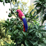 Maxbell Simulation Artificial Feathered Parrot Bird Animal Model Toy Home Decor A