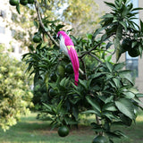 Maxbell Simulation Artificial Feathered Parrot Bird Animal Model Toy Home Decor D