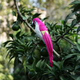 Maxbell Simulation Artificial Feathered Parrot Bird Animal Model Toy Home Decor D