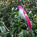 Maxbell Simulation Artificial Feathered Parrot Bird Animal Model Toy Home Decor D